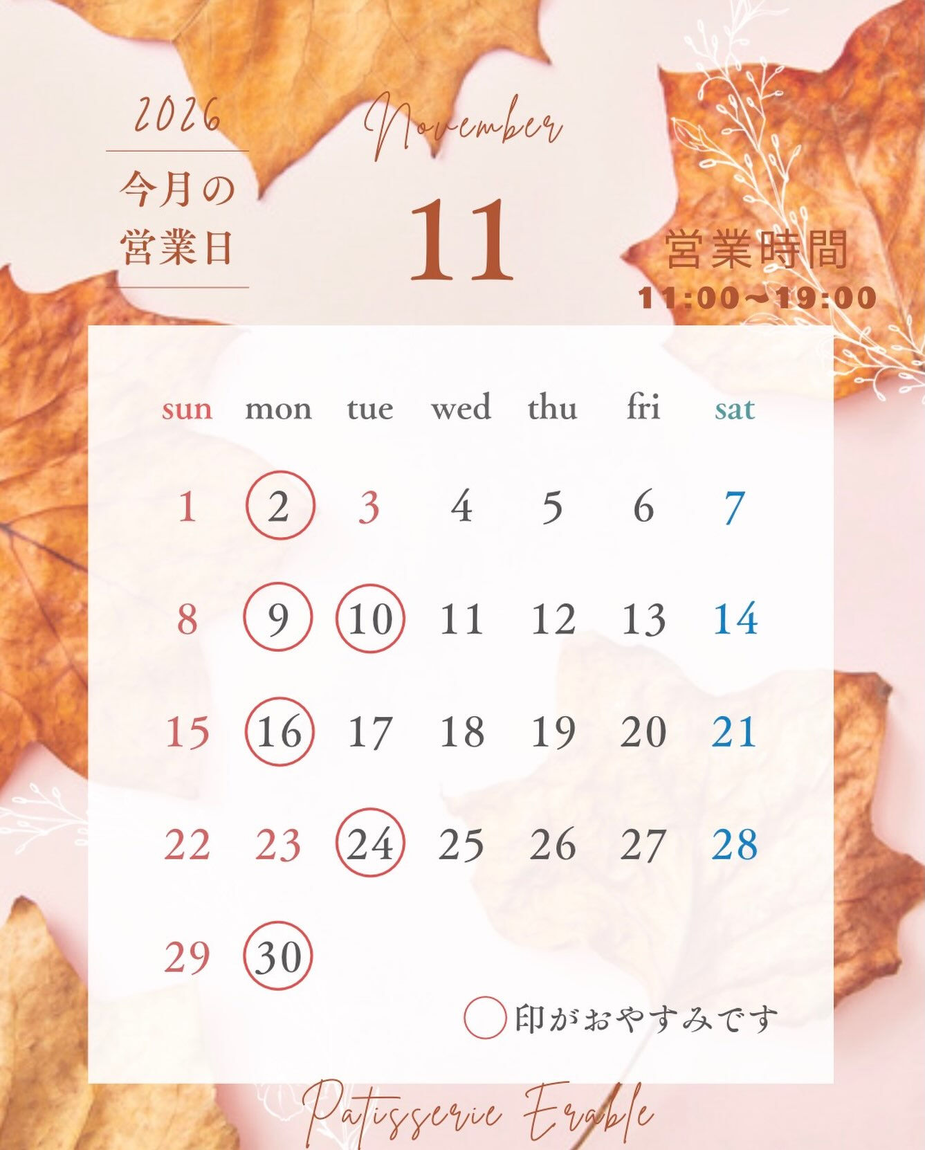 11月定休日のお知らせです📢